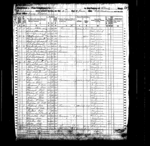 1860 Census Reedy, Wirt County, Virginia (West Virginia) USA