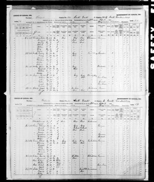Canada Census 1891: Robert Graves