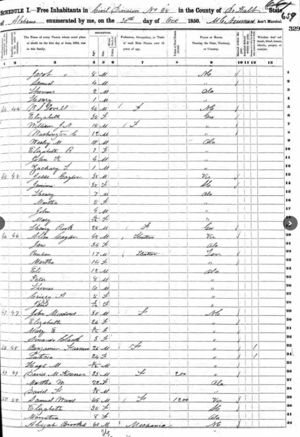 1850 U.S. Federal State Census, 25 Civil Dist., De Kalb Co., Alabama - Jesse & Allen Gaylor