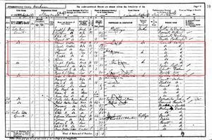 1901 England Census: Walton family