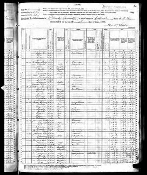 1880 U.S. Census  pg 2