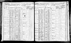 New York, State Census, 1875