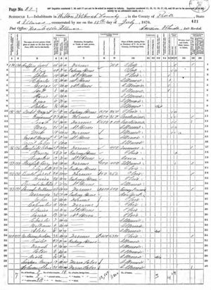 1870 United States Federal Census - Pruitt County, Illinois