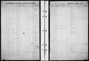 Ohio Death Records for Samuel & Henry Gier