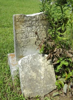 William D. Elliott tombstone