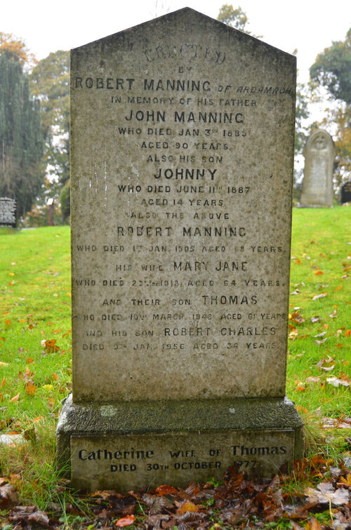 500px-Manning-7981.jpg