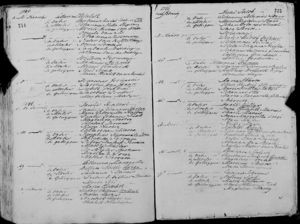 Stellenbosch Baptisms, 9 Dec 1785 to 9 Apr 1786