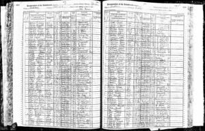 New York, State Census, 1905