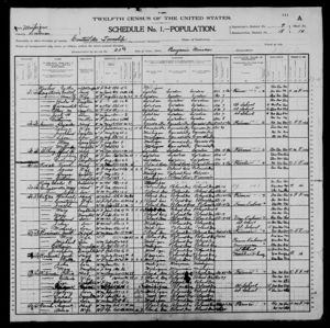 Rosinski Families 1900 Census