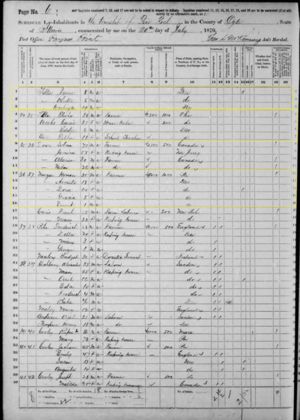 Morgan  & Tilton 1870 Census