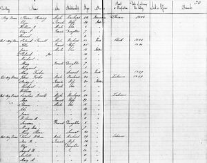 1851  census St Marys, York County, New Brunswick, Canada page 30