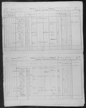 1871 Census of Canada - Nelson Powers, Maria Billings