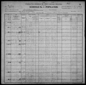 United States Census, 1900