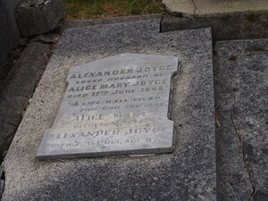 Alexander & Alice Joyce