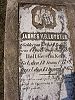 Jannes van de Luijster