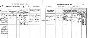 James Hunter d. 1896 with marriage details