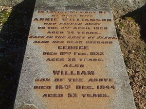 Annie (McKenzie) Williamson, , George Williamson & William Williamson
