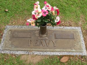 Tom Peavy Image 1