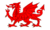 Cymru Project logo (Red Dragon)