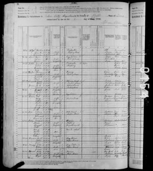 1880 United States Census