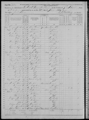 1870 Census Ward 6 St Louis, St Louis, Missouri, USA