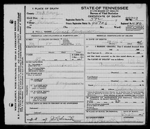 Tennessee Death Certificate for Ansel Fergurson
