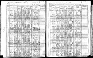 New York, State Census, 1905