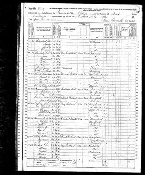 Elizabeth Klinck U.S.A. Census 1870