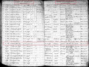 Daniel Shanahan isabella County Michigan Death Record 23 Feb 1902