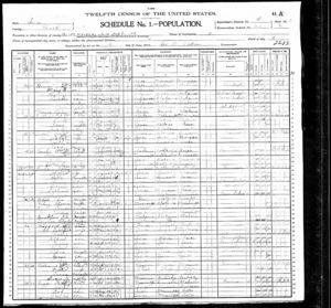 1900 U.S. Census with Thomas J. Snow family