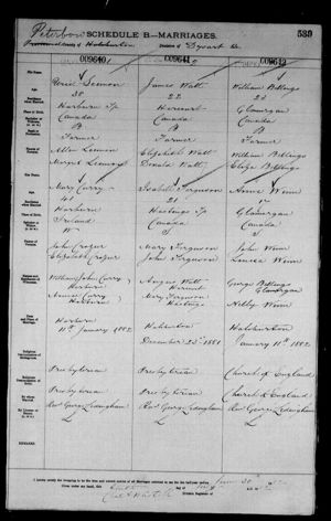 Annie Winn, William Washington Billings - Marriage Record