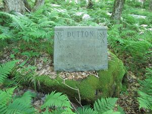 Rollin (Moses) Dutton/Francis Dutton Gravestone