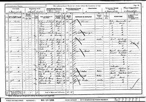 Ellen Louisa Pickford 1901 Census