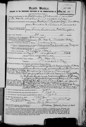 1918.08.11 Death Notice Salomon Johannes Pienaar