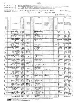 1880 US Census 1 of 2 