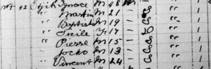 Ignace Odjick 1891 Census, Grenville, Quebec