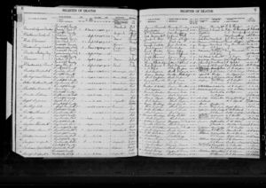 Death Record of Henry Clay Barkley