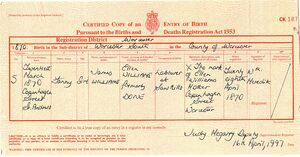 Fanny Done (Williams) Birth Certificate