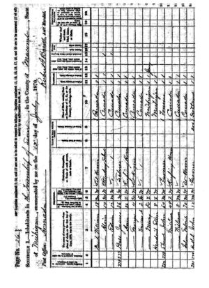 1870 Michigan Census