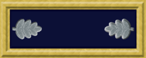Lieutenant Colonel - Union Army