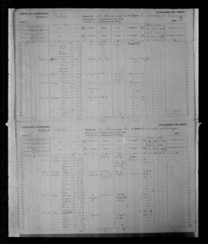 1881 Census of Canada - John Winn, Louise Smith - pg. 2 of 2
