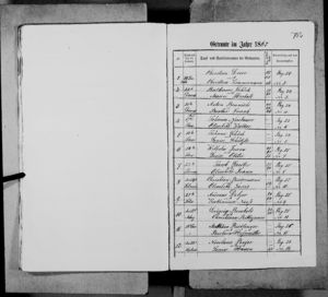 Andreas Delzer Sr and Katharina Nuss Marriage Record