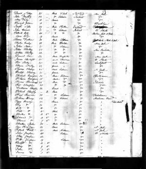 1847 Passenger List Sea of New York