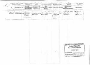 Death certificate - Mary Ann (Doherty) Clemens