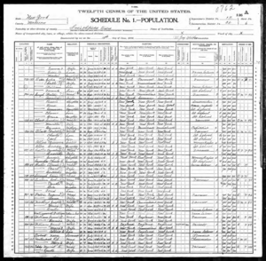 1900 US Census