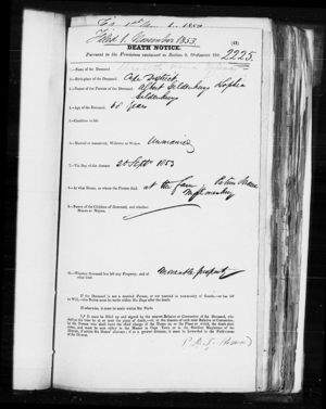 Probate Elizabeth Maria Helena Gildenhuys 1853