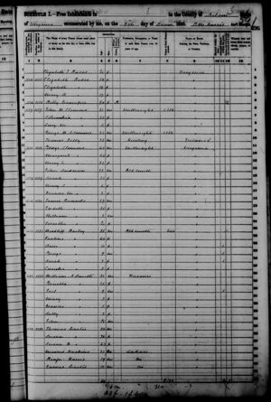 1850 Census (Nelson, Virginia)